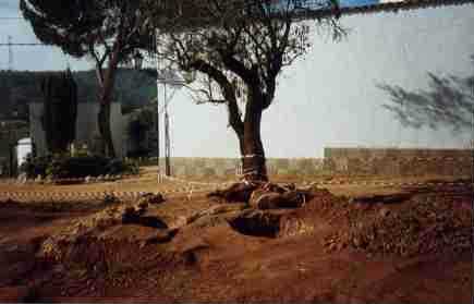 cal llanes