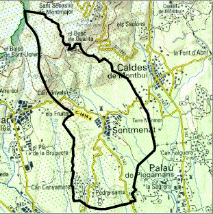 mapa topografic